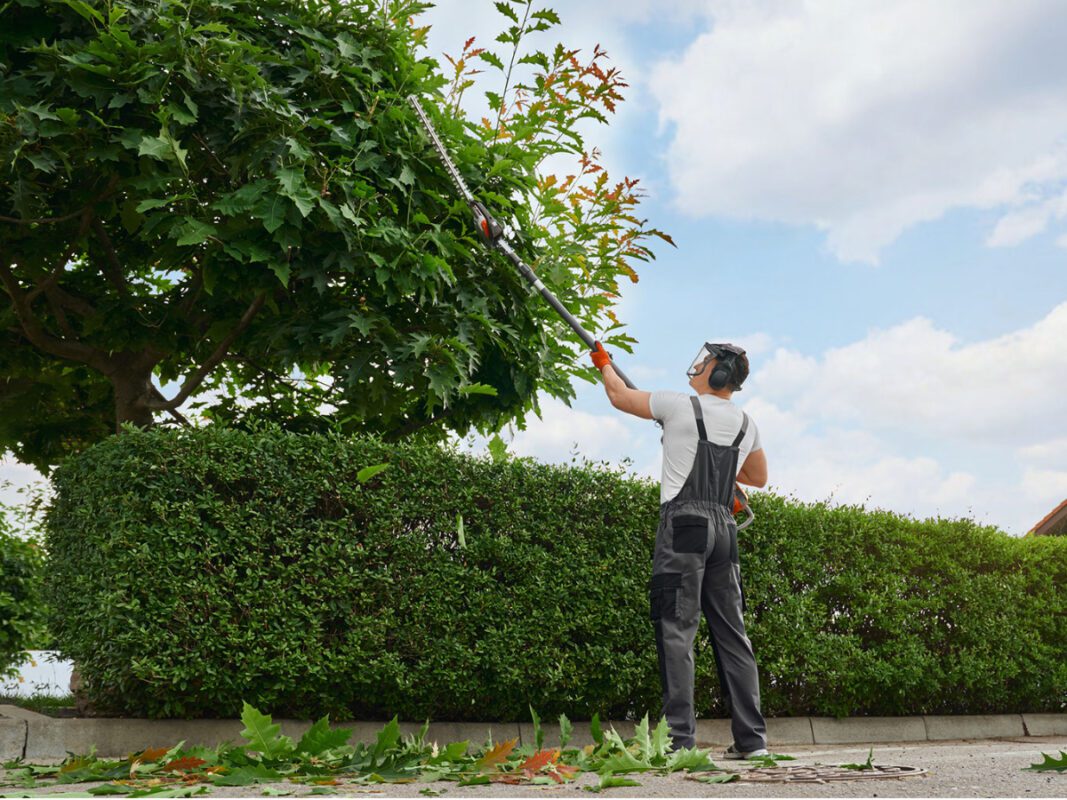 Landscaping and lawn care work